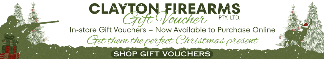 Christmas Voucher Banner Ad