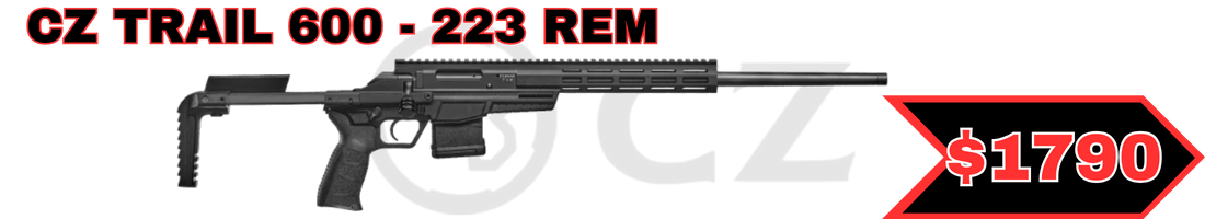 CZ 600 TRAIL