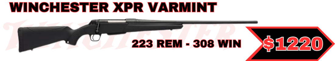 WINCHESTER XPR varmint