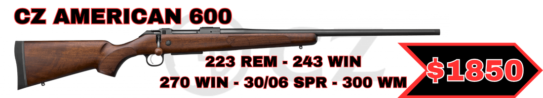 cz American 600
