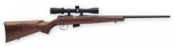 Rimfire_Rifles_4d4798dcd97a1.jpg