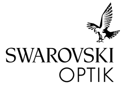 Swarovski_Z_6_Se_4f3c5943b2c17.jpg