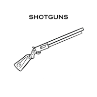New_Shotguns_4d47999d864e9.jpg